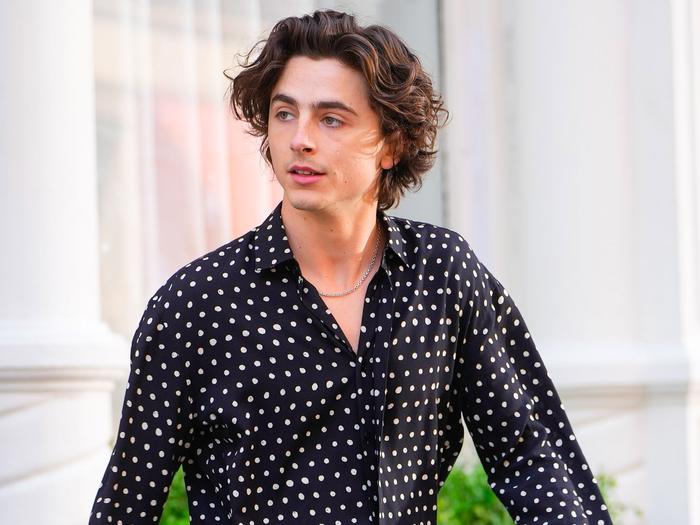 Suddenly I Can't Live Without Timothée Chalamet's $150 Sneakers